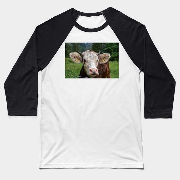 Swiss Cow 4 Baseball T-Shirt by photosbyalexis